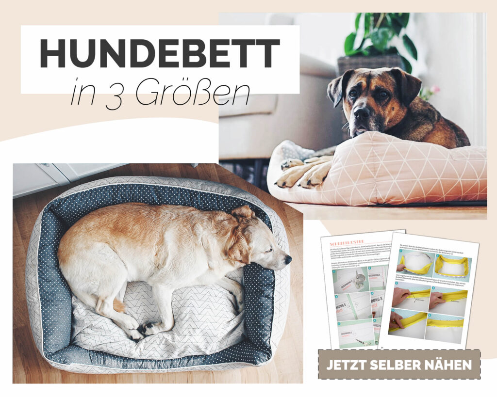 hundespielzeug selbstbeschftigung MISOKO Plsch-Avocado Hundespielzeug  19 cm, grn, mit Quietsche