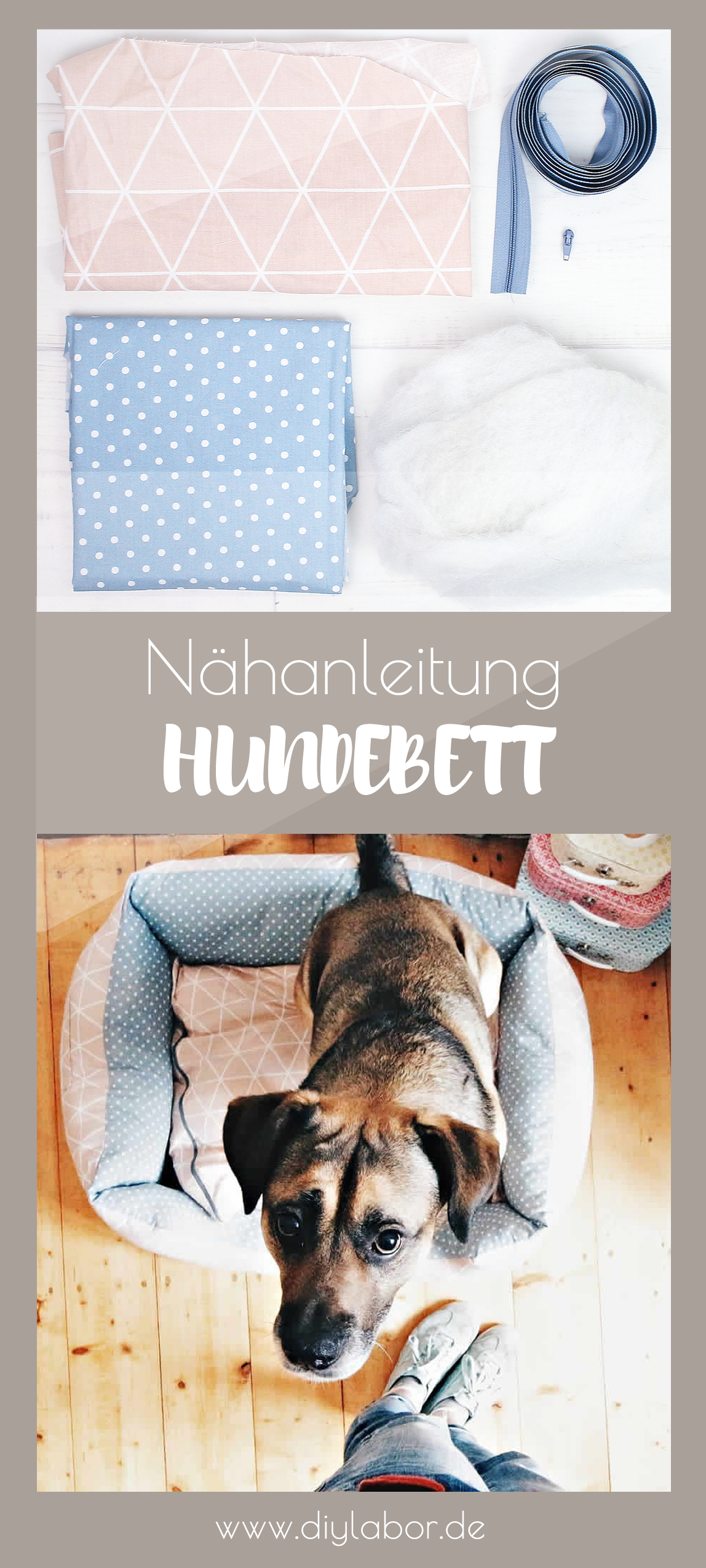 Hund Hunde diy hundebett